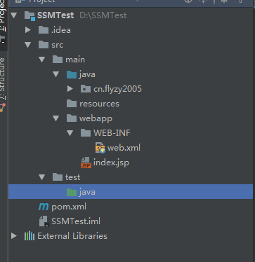 ssm-new-project-structure